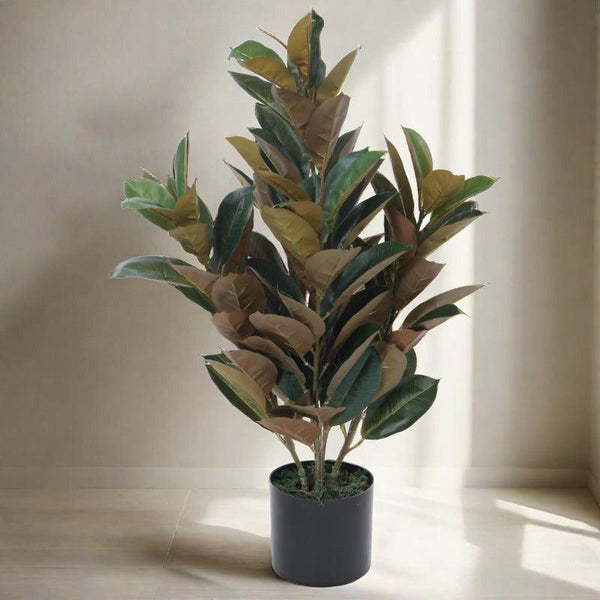 Buy Faux Red Fig Rubber Plant With Pot - 2.79 ft Artificial Plants from Vaaree