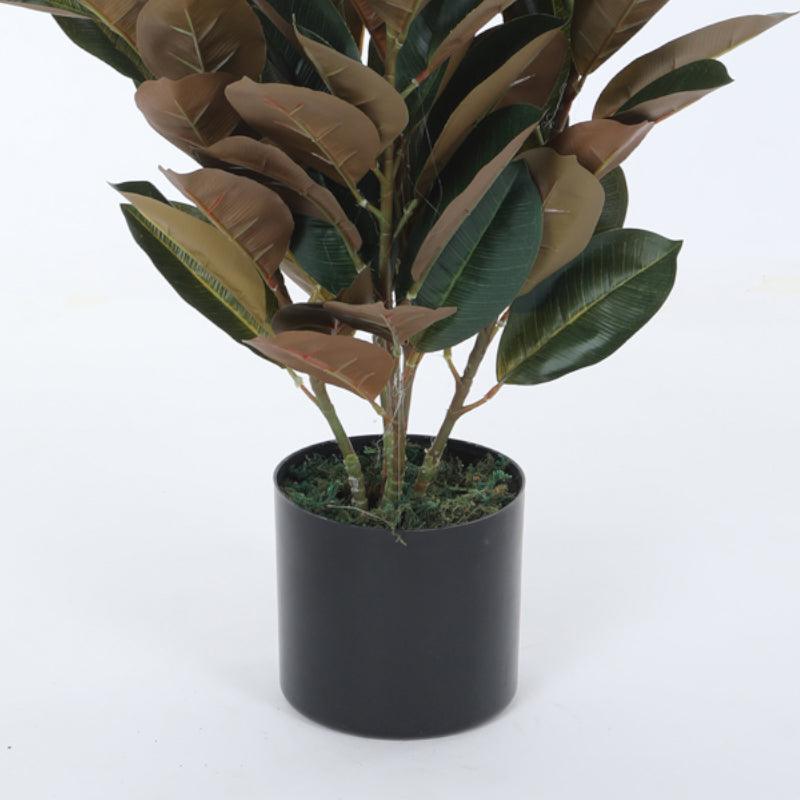 Buy Faux Red Fig Rubber Plant With Pot - 2.79 ft Artificial Plants from Vaaree