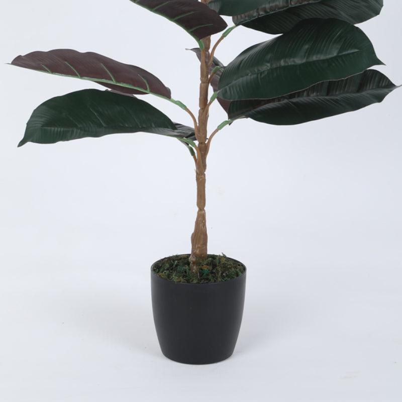 Artificial Plants - Faux Red Rubber Plant With Pot - 2.46 ft