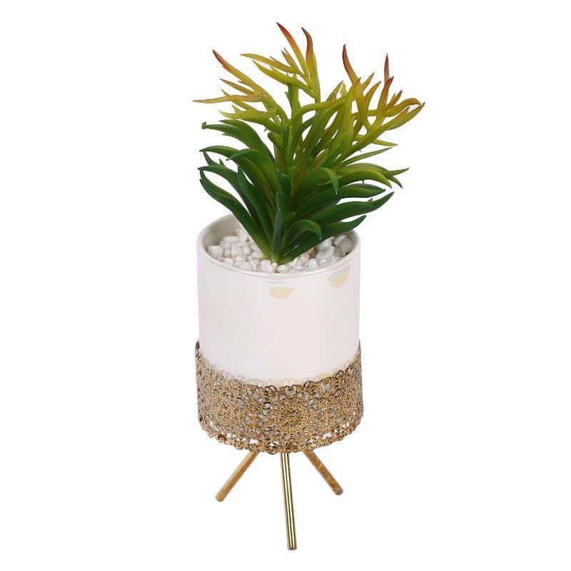 Buy Faux Red Senecio In Ceramic Pot With Tripod - 24.5 cms Artificial Plants from Vaaree