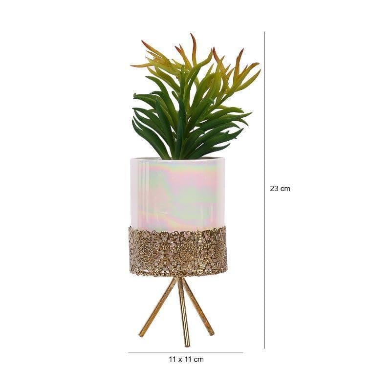 Artificial Plants - Faux Red Senecio In Ceramic Pot With Tripod - 24.5 cms