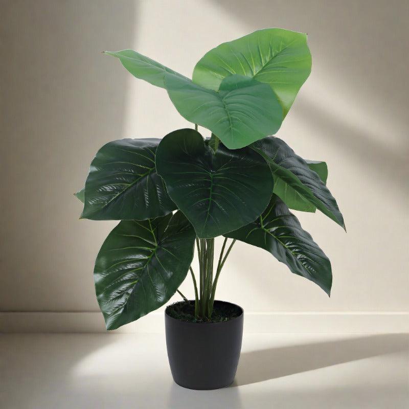 Artificial Plants - Faux Rubber Silk Plant With Pot - 55 cms