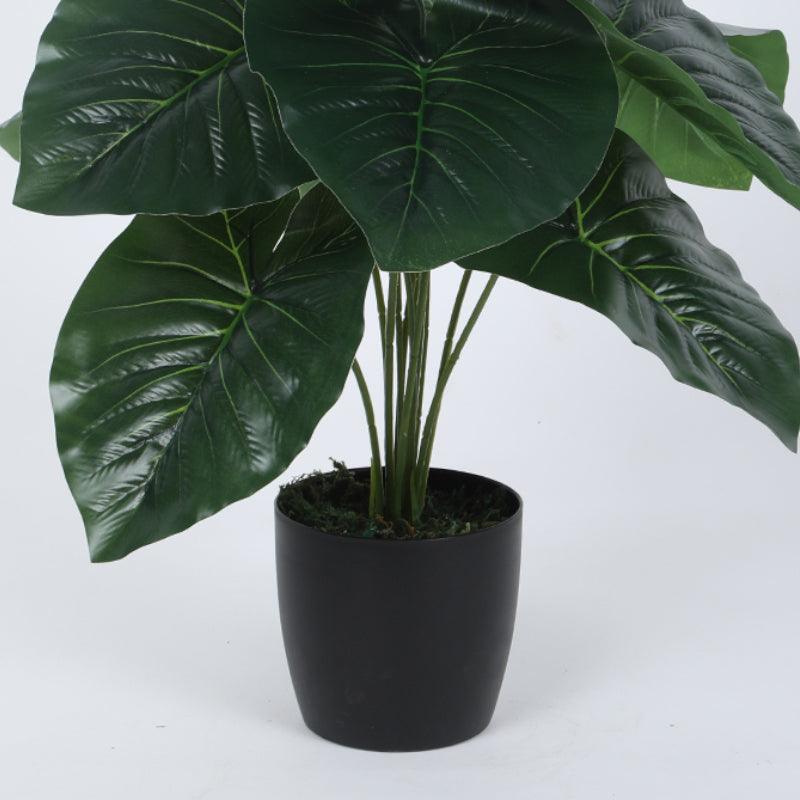 Artificial Plants - Faux Rubber Silk Plant With Pot - 55 cms