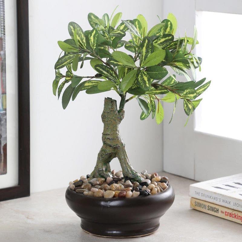 Artificial Plants - Faux Schefflera Bonsai In Bubble Pot - 32 cms