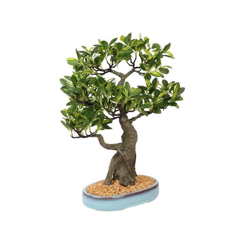 Artificial Plants - Faux Schefflera Bonsai In Tray Pot - 48 cms