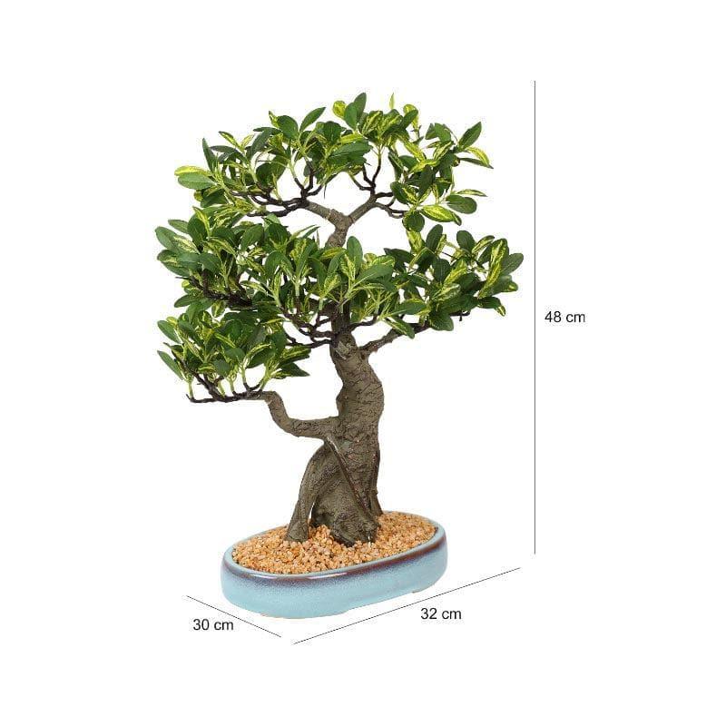 Artificial Plants - Faux Schefflera Bonsai In Tray Pot - 48 cms