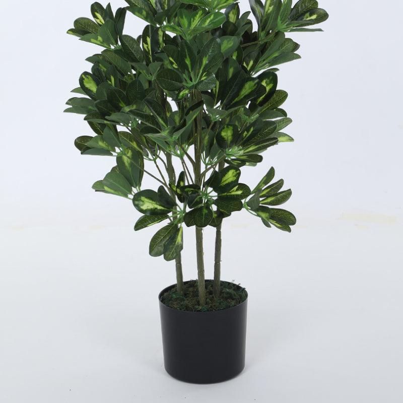 Artificial Plants - Faux Schefflera Plant With Pot (3.94 ft) - White