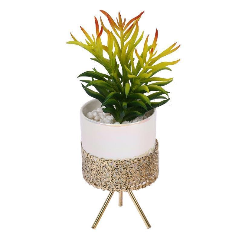 Artificial Plants - Faux Senecio In Ceramic Pot With Tripod - 25.5 cms