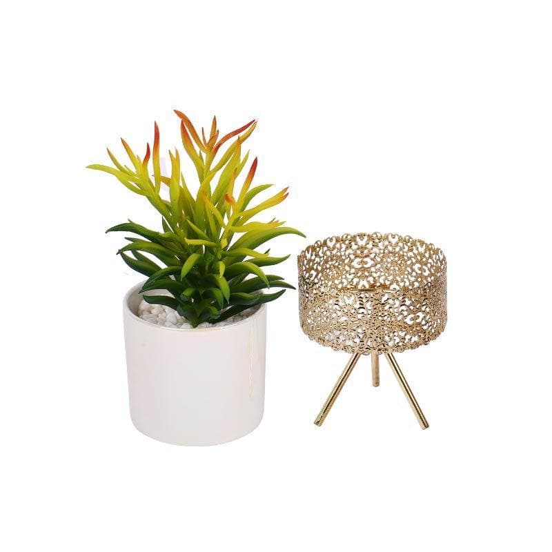 Buy Faux Senecio In Ceramic Pot With Tripod - 25.5 cms Artificial Plants from Vaaree