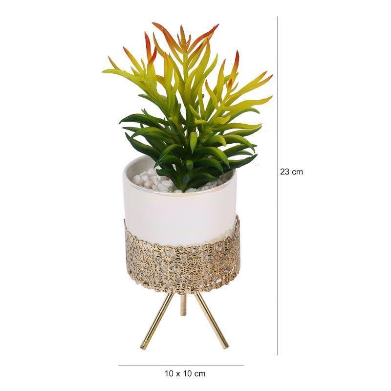 Artificial Plants - Faux Senecio In Ceramic Pot With Tripod - 25.5 cms