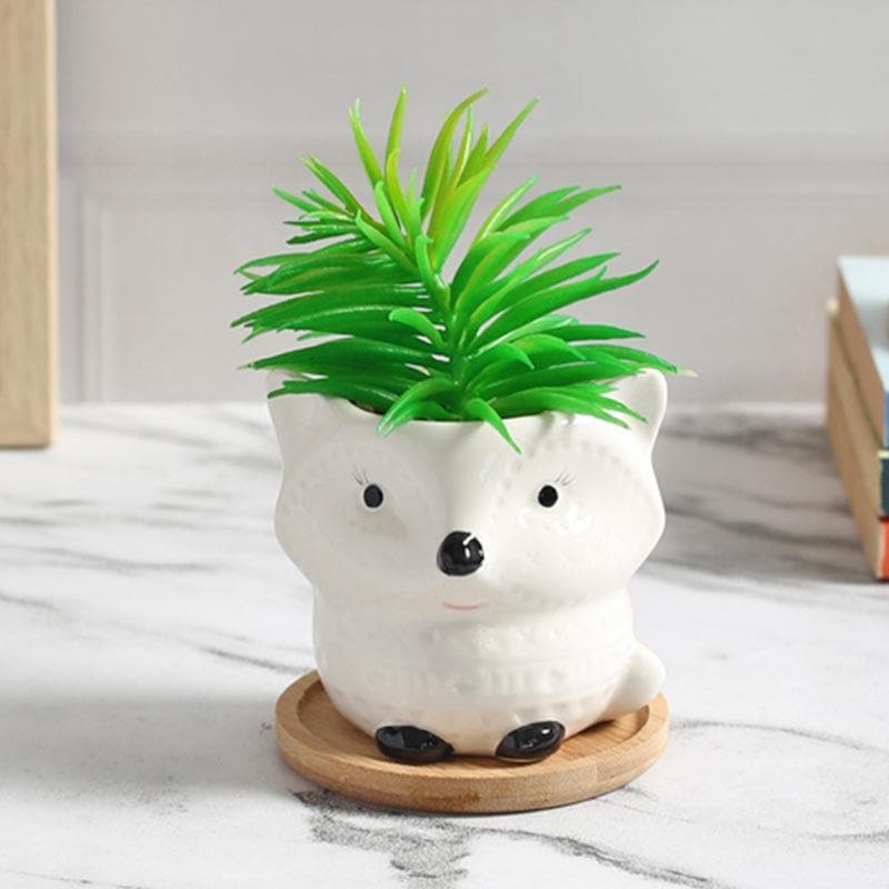 Buy Faux Senecio In Foxy Face Pot - 13 cms Artificial Plants from Vaaree