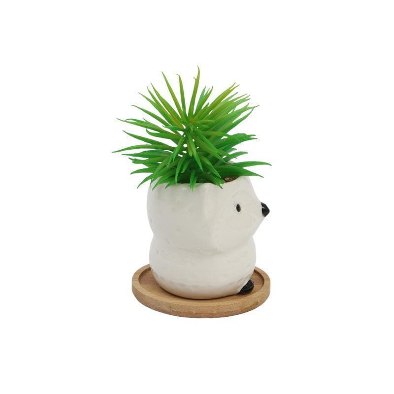 Artificial Plants - Faux Senecio In Foxy Face Pot - 13 cms