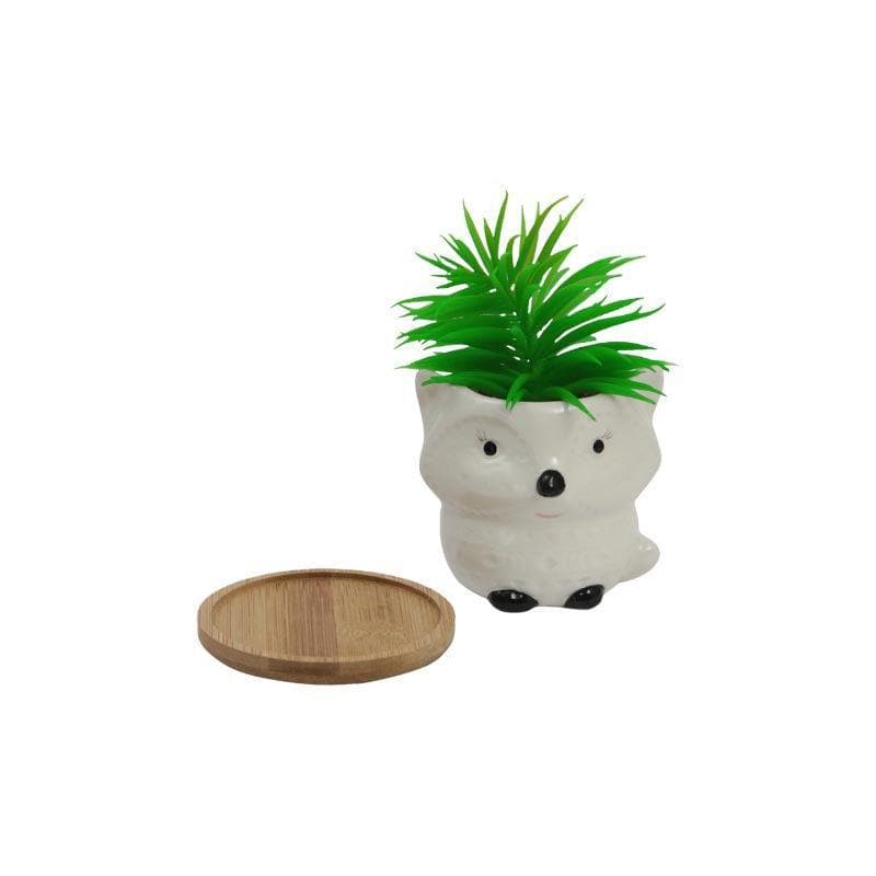 Artificial Plants - Faux Senecio In Foxy Face Pot - 13 cms