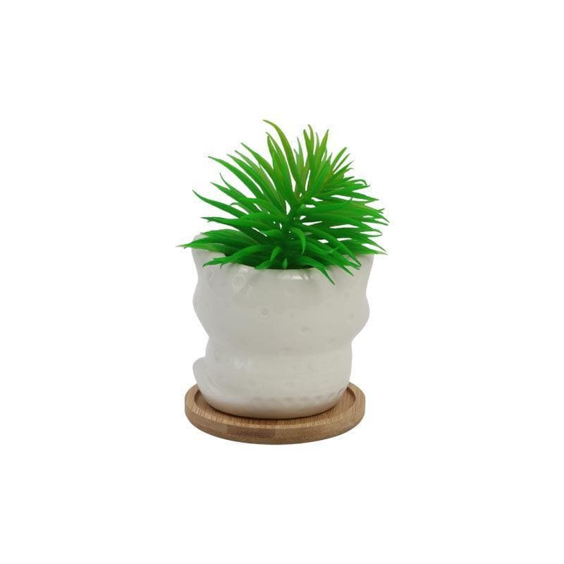 Artificial Plants - Faux Senecio In Foxy Face Pot - 13 cms