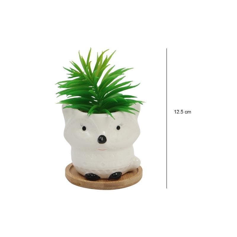 Artificial Plants - Faux Senecio In Foxy Face Pot - 13 cms