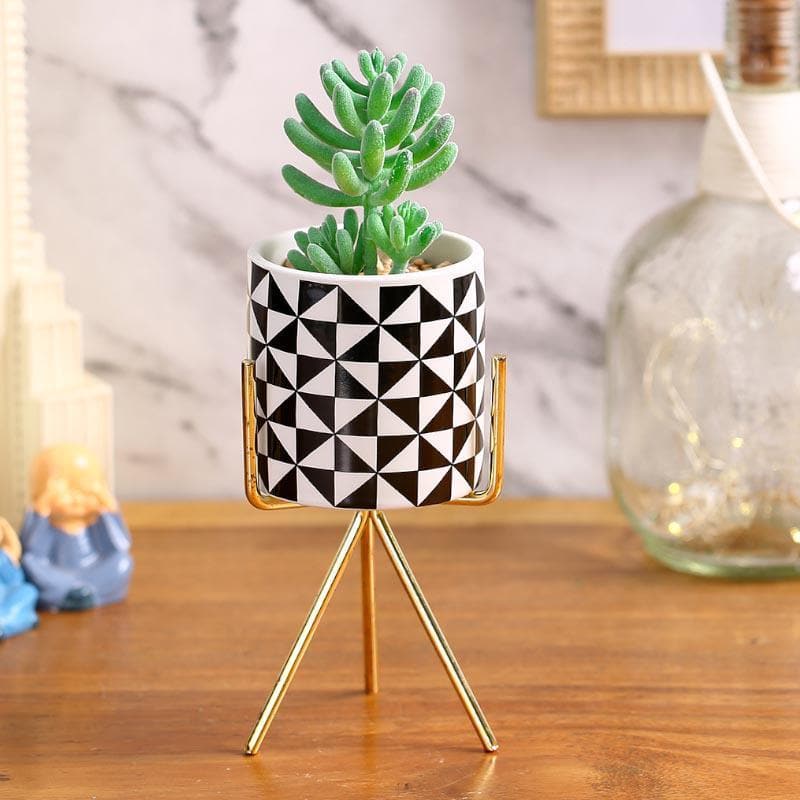 Artificial Plants - Faux Senecio In Patterned Pot With Tripod - 21.5 cms