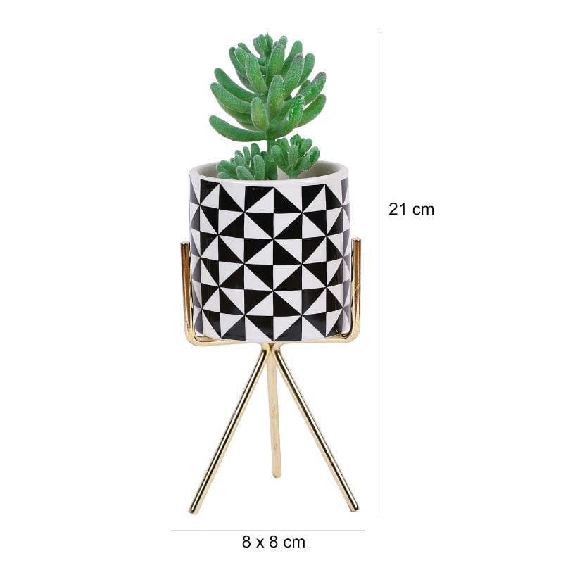 Artificial Plants - Faux Senecio In Patterned Pot With Tripod - 21.5 cms