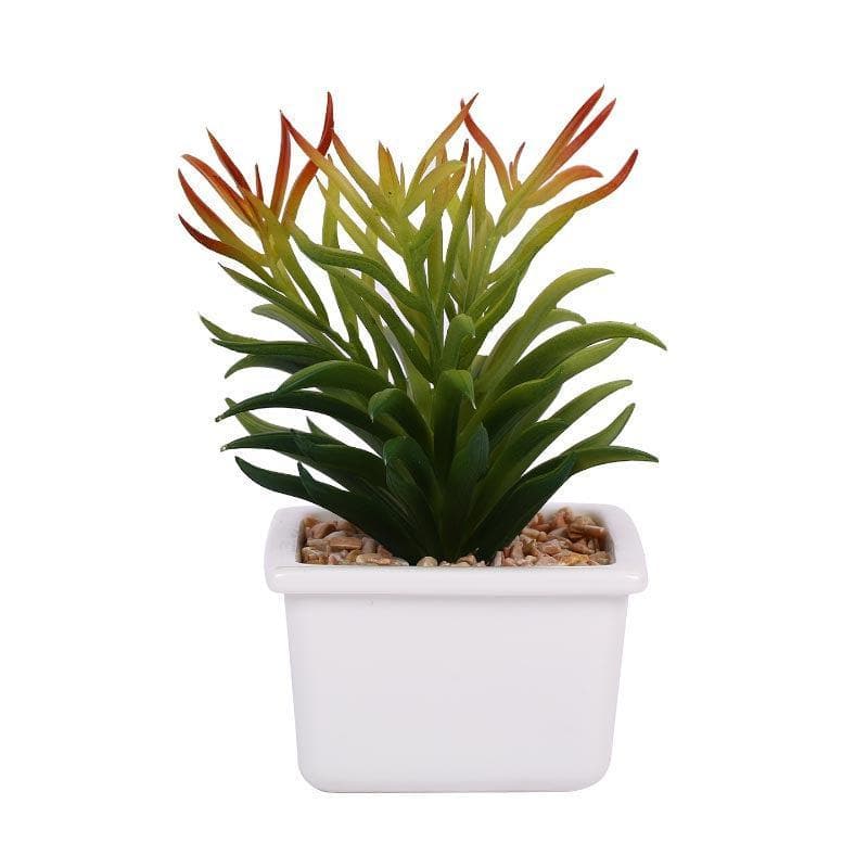 Buy Faux Senecio In White Pot - 16 cms Artificial Plants from Vaaree