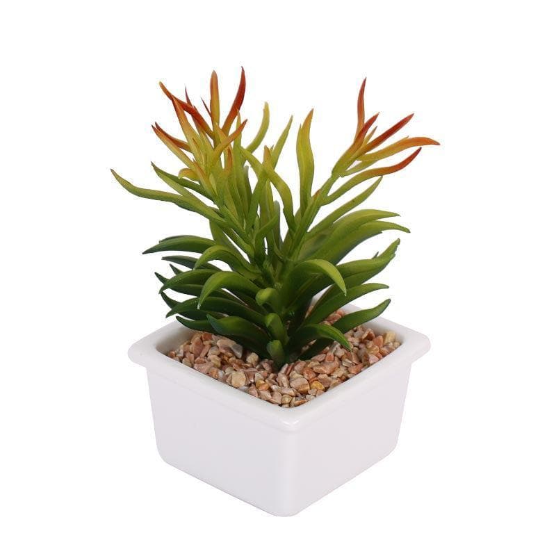 Buy Faux Senecio In White Pot - 16 cms Artificial Plants from Vaaree