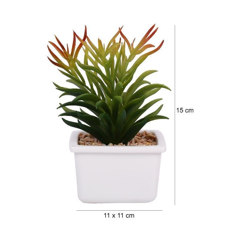 Buy Faux Senecio In White Pot - 16 cms Artificial Plants from Vaaree