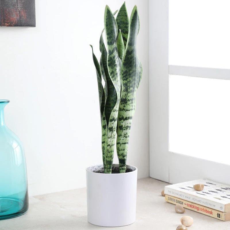 Buy Faux Snake Plant Bonsai (45 cms) - Dark Green Artificial Plants from Vaaree