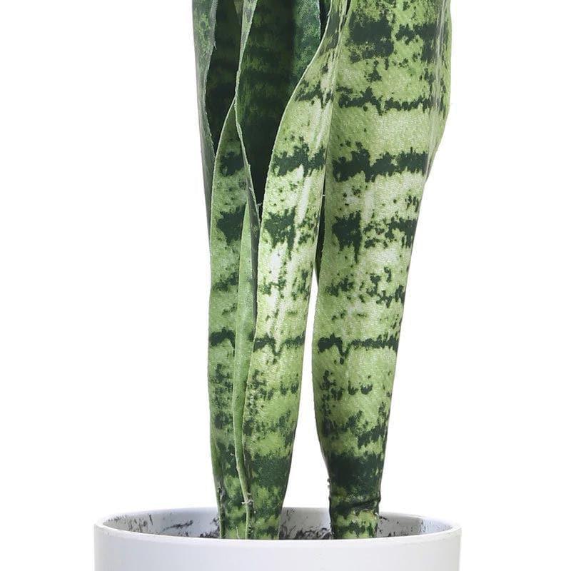 Buy Faux Snake Plant Bonsai (45 cms) - Dark Green Artificial Plants from Vaaree