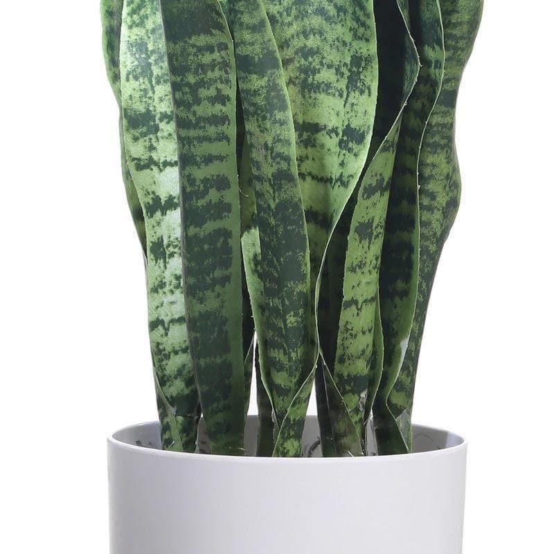 Buy Faux Snake Plant Bonsai (2.13 ft) - Deep Green Artificial Plants from Vaaree