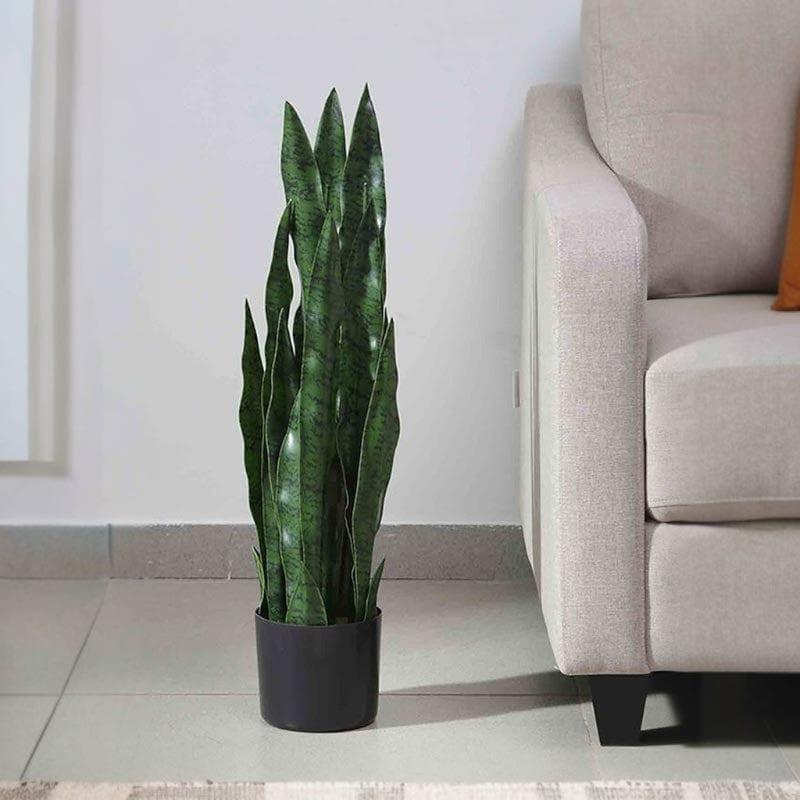 Buy Faux Snake Plant Bonsai In Plastic Pot - 2.46 ft Artificial Plants from Vaaree