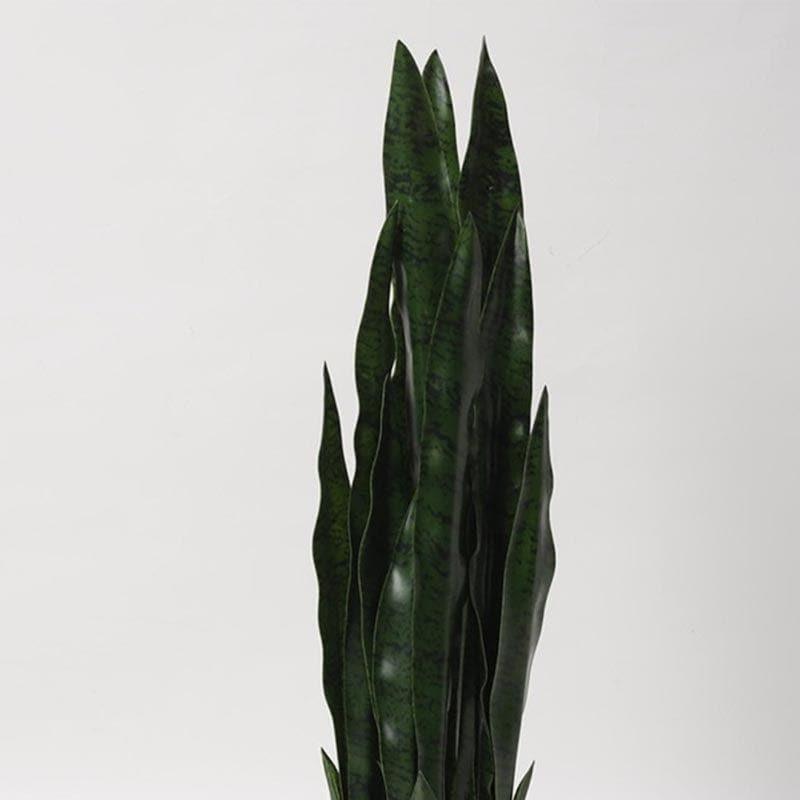 Buy Faux Snake Plant Bonsai In Plastic Pot - 2.46 ft Artificial Plants from Vaaree