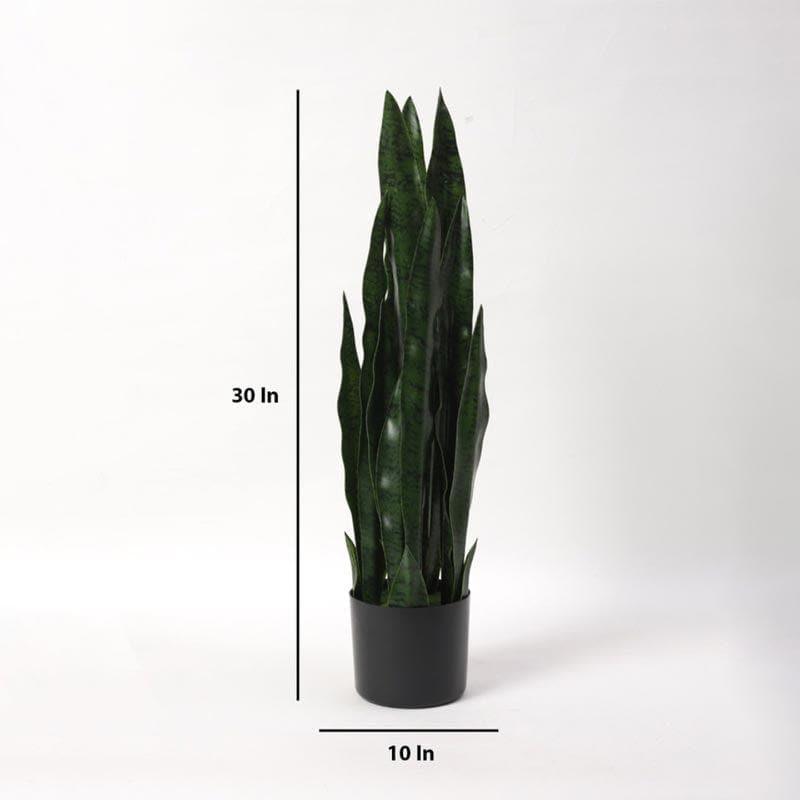 Buy Faux Snake Plant Bonsai In Plastic Pot - 2.46 ft Artificial Plants from Vaaree