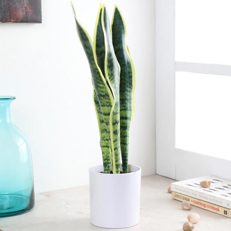 Buy Faux Snake Plant Bonsai (45 cms) - Light Green Artificial Plants from Vaaree