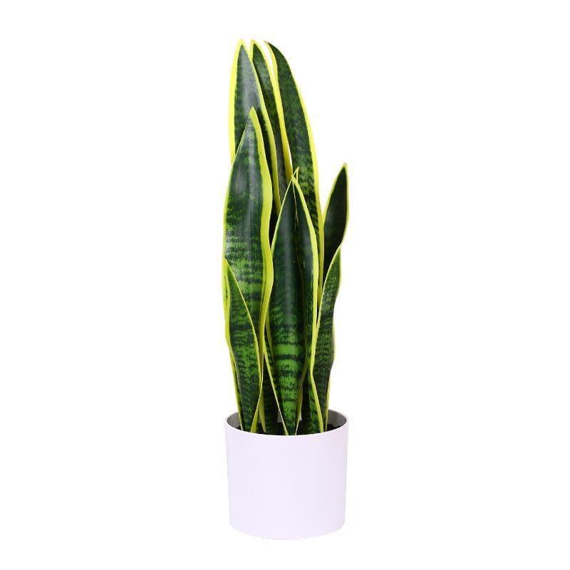 Buy Faux Snake Plant Bonsai (2.13 ft) - Yellow & Green Artificial Plants from Vaaree