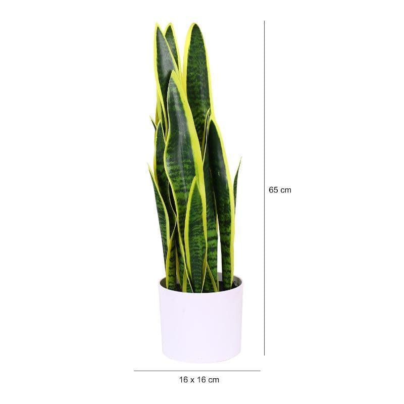 Buy Faux Snake Plant Bonsai (2.13 ft) - Yellow & Green Artificial Plants from Vaaree