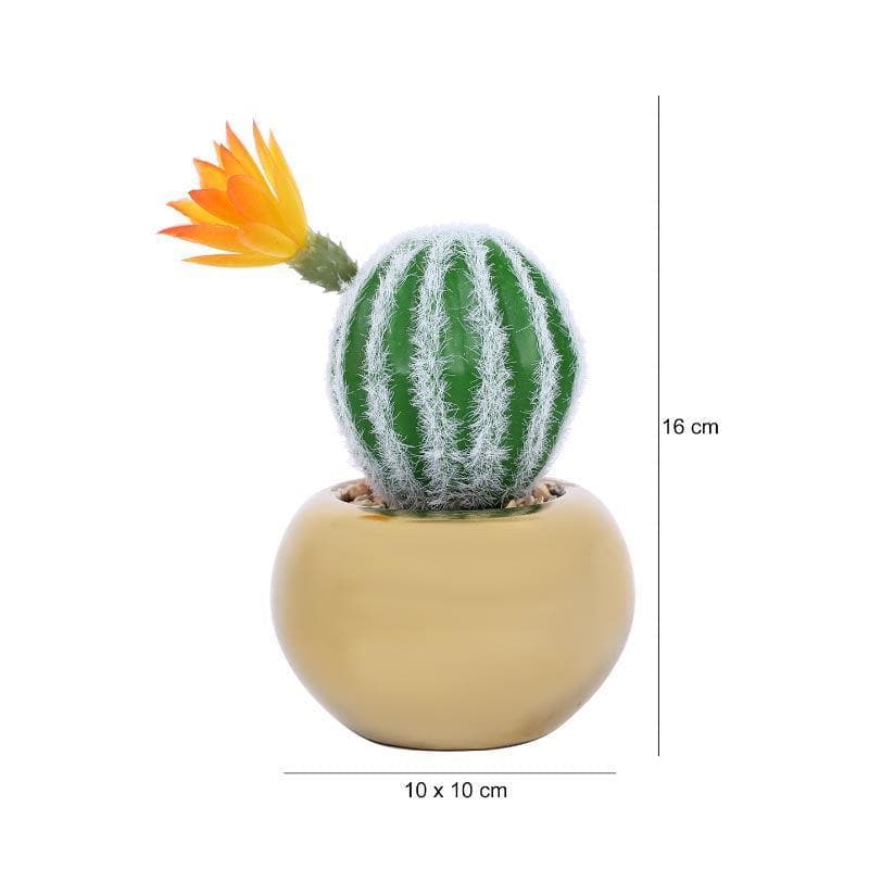 Artificial Plants - Faux Stripe Cacti In Round Ceramic Pot - 17 cms