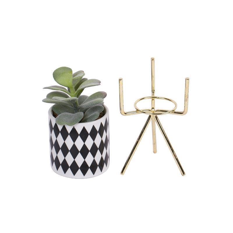 Buy Faux Succulent In Checkered Pot With Tripod - 20 cms Artificial Plants from Vaaree