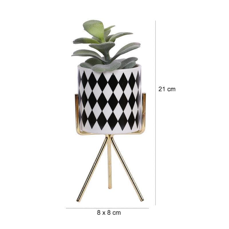 Buy Faux Succulent In Checkered Pot With Tripod - 20 cms Artificial Plants from Vaaree