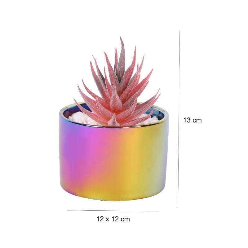 Buy Faux Succulent In Ombre Pot - 11 cms Artificial Plants from Vaaree