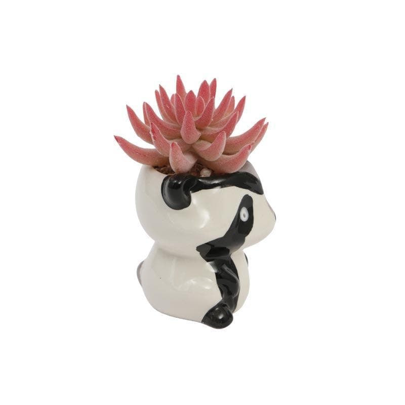 Buy Faux Succulent In Racoon Face Pot - 10 cms Artificial Plants from Vaaree