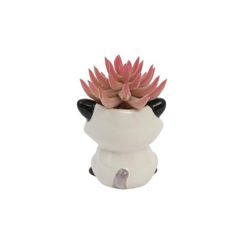 Buy Faux Succulent In Racoon Face Pot - 10 cms Artificial Plants from Vaaree