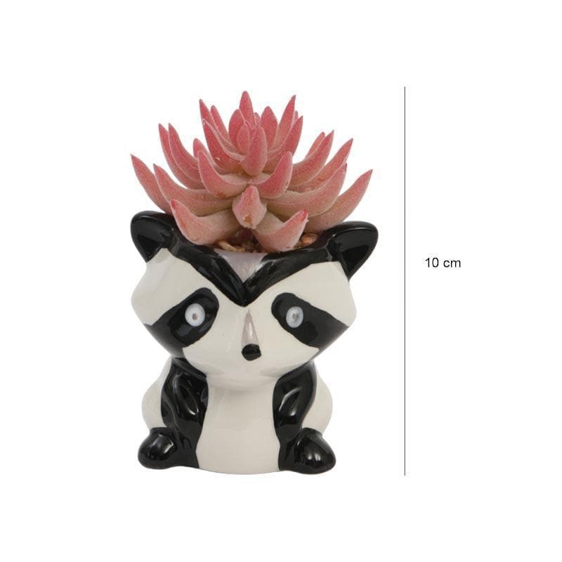 Buy Faux Succulent In Racoon Face Pot - 10 cms Artificial Plants from Vaaree