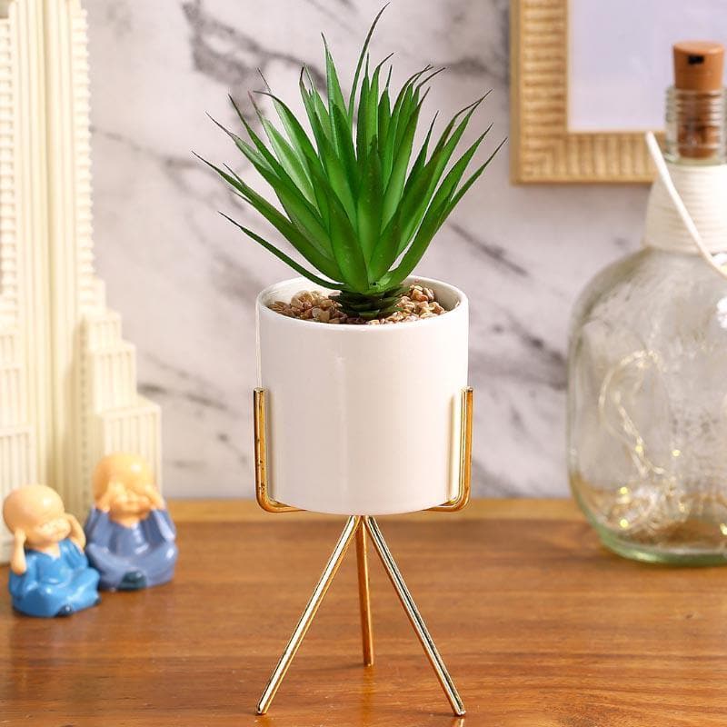 Buy Faux Succulent Leaf In White Pot With Tripod - 24 cms Artificial Plants from Vaaree