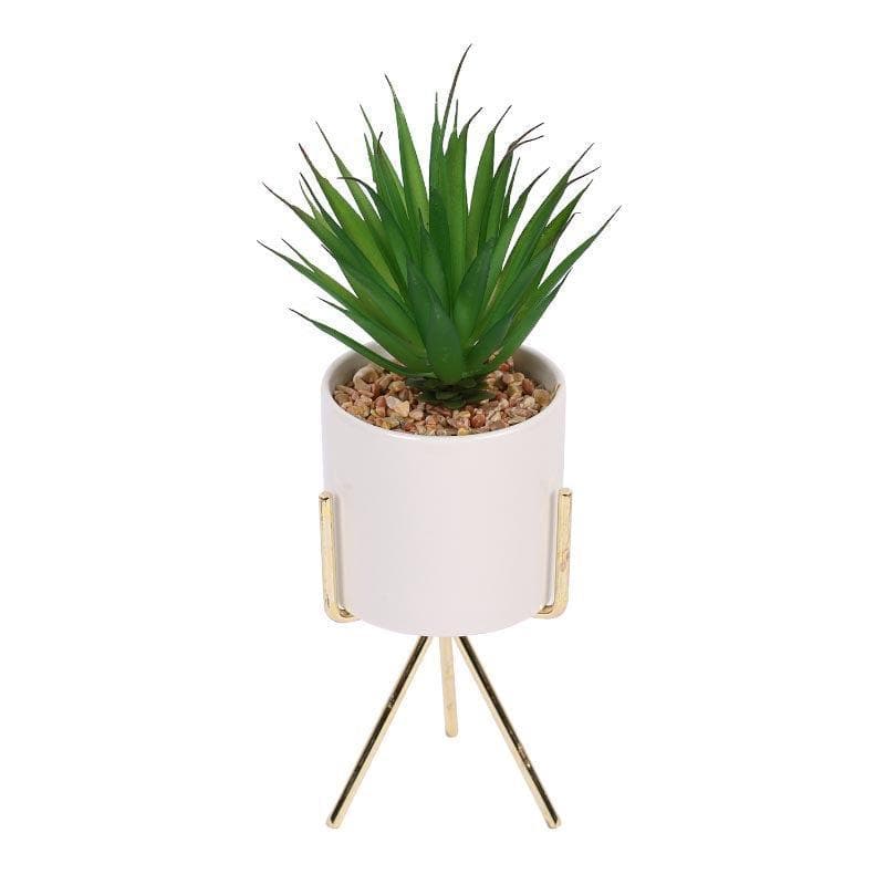 Buy Faux Succulent Leaf In White Pot With Tripod - 24 cms Artificial Plants from Vaaree