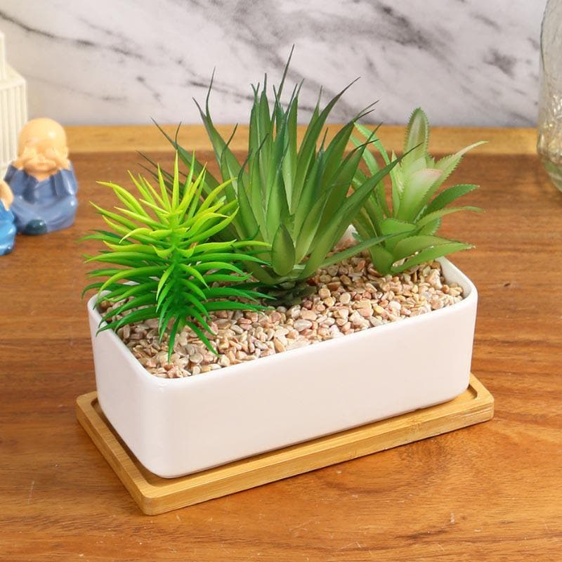 Buy Faux Succulent Set In Rectangle Pot - 15.5 cms Artificial Plants from Vaaree