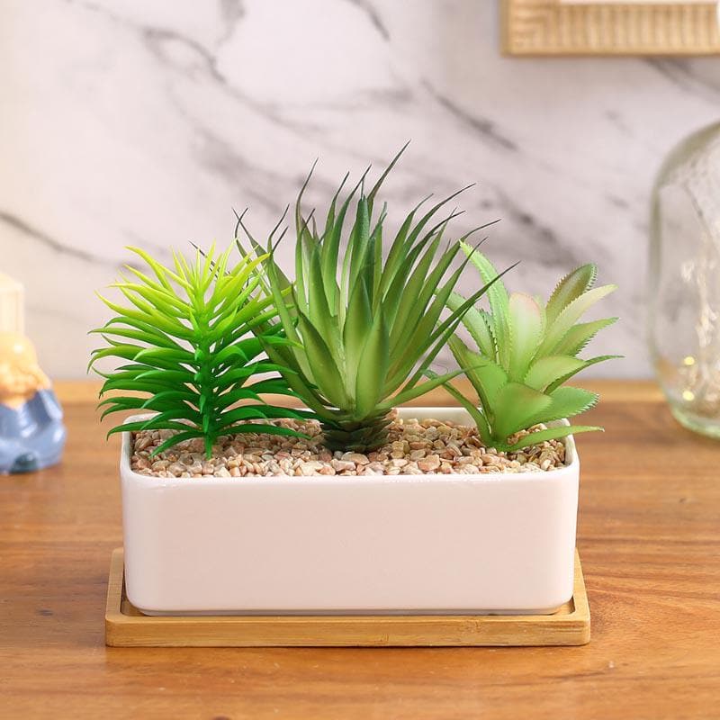 Buy Faux Succulent Set In Rectangle Pot - 15.5 cms Artificial Plants from Vaaree