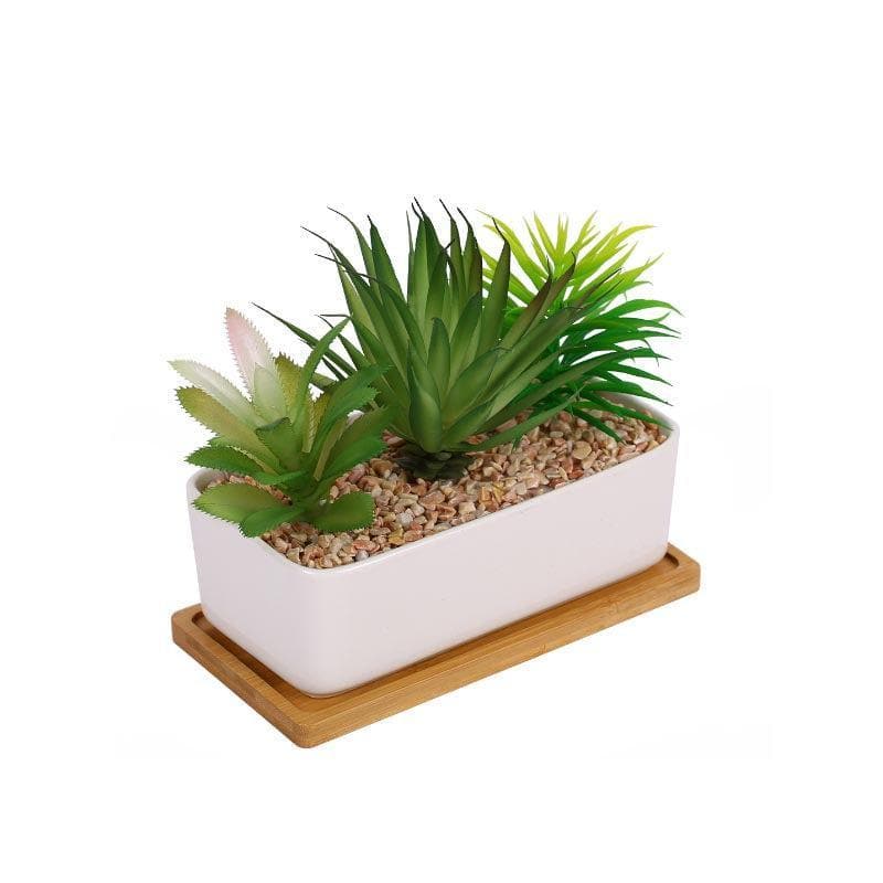 Buy Faux Succulent Set In Rectangle Pot - 15.5 cms Artificial Plants from Vaaree