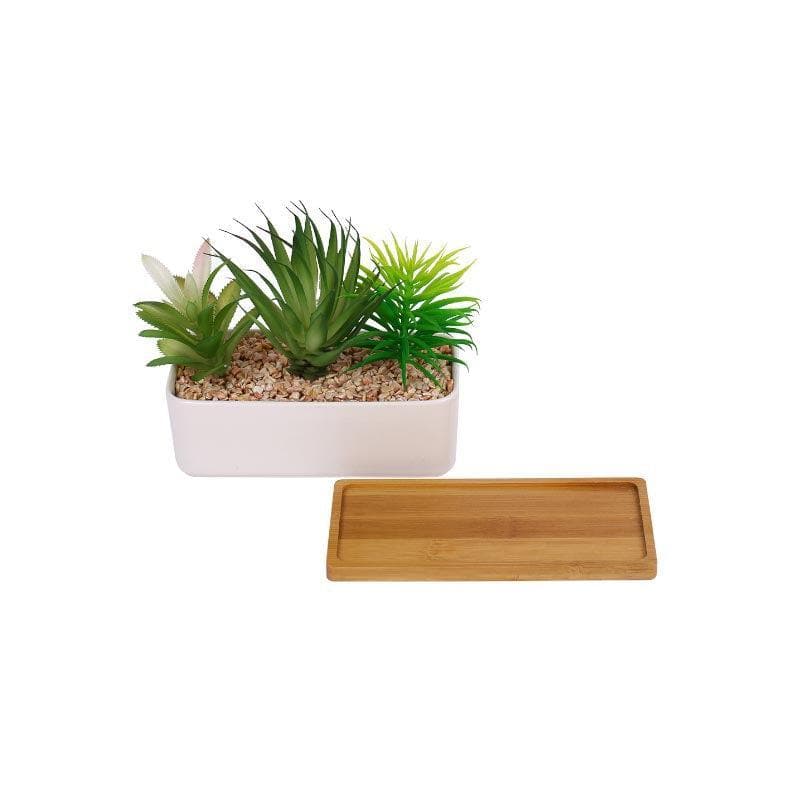 Buy Faux Succulent Set In Rectangle Pot - 15.5 cms Artificial Plants from Vaaree