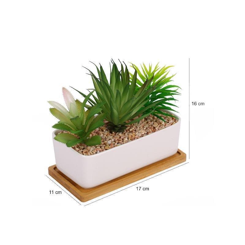 Buy Faux Succulent Set In Rectangle Pot - 15.5 cms Artificial Plants from Vaaree