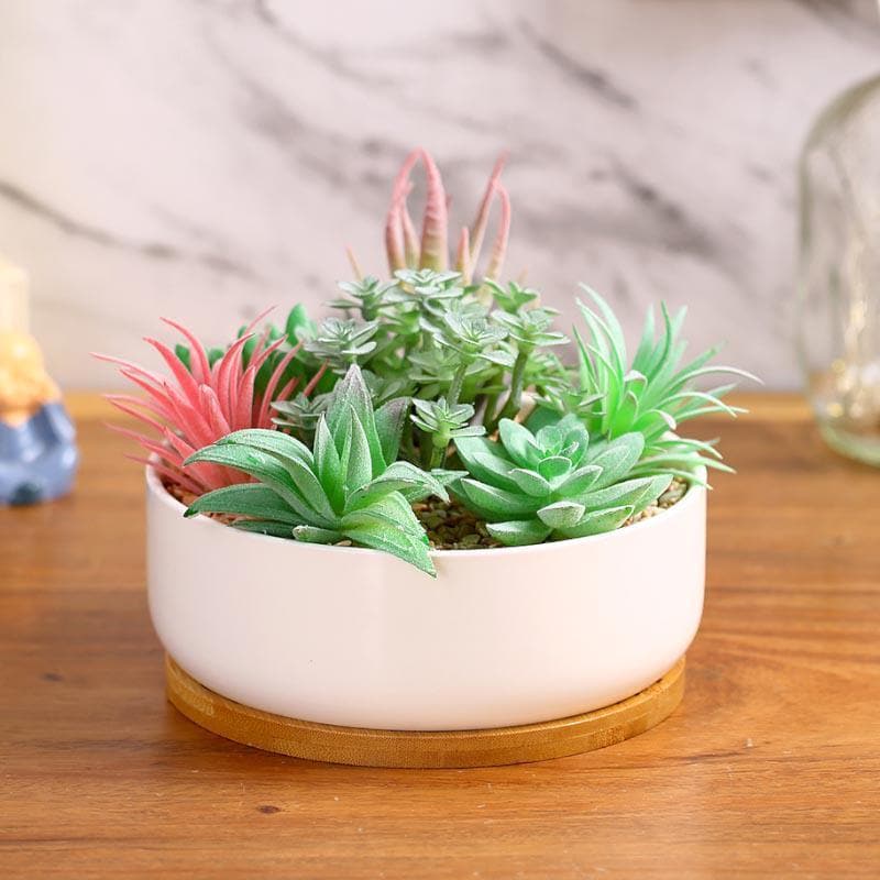 Buy Faux Succulent Set In Round Pot - 14 cms Artificial Plants from Vaaree