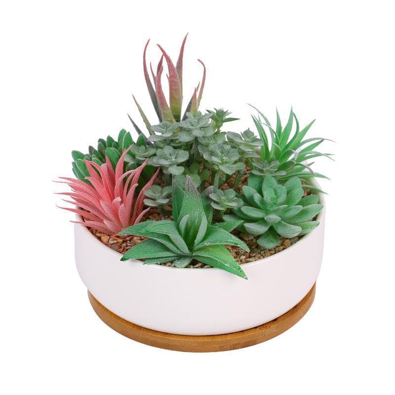 Buy Faux Succulent Set In Round Pot - 14 cms Artificial Plants from Vaaree