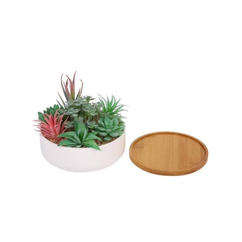 Buy Faux Succulent Set In Round Pot - 14 cms Artificial Plants from Vaaree